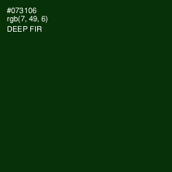 #073106 - Deep Fir Color Image